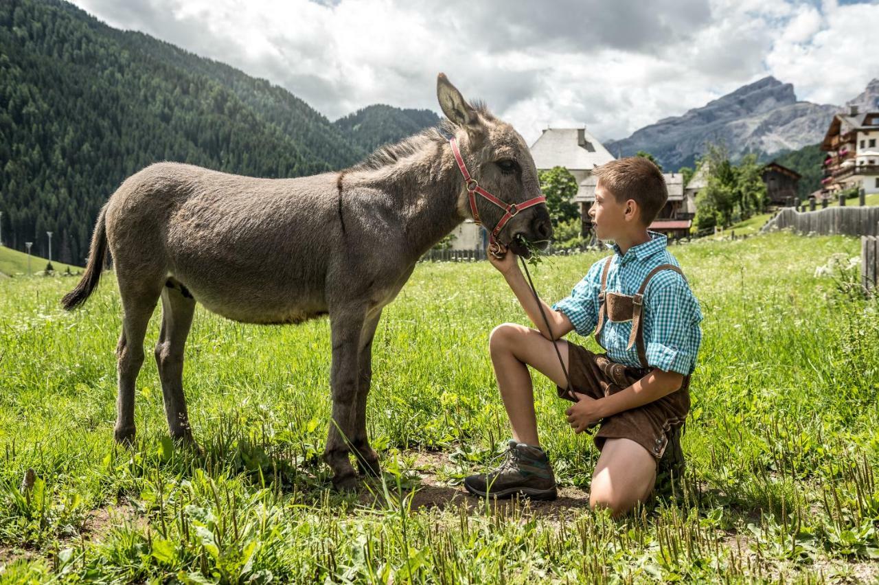 Natur Luch Sossach Stern Exterior foto